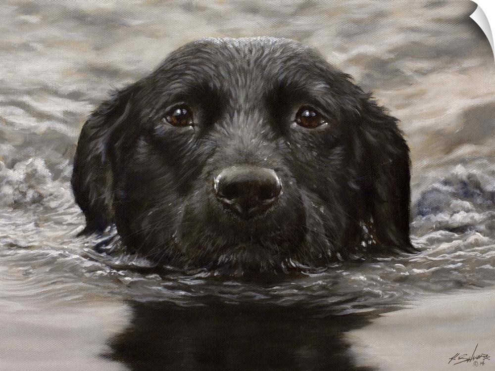 Contemporary painting of a black Labrador retriever swimming.