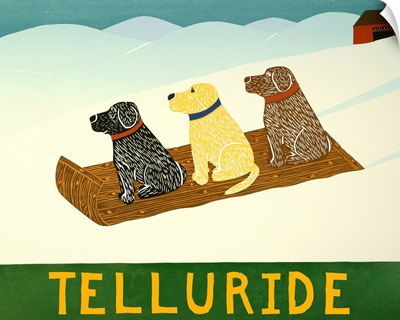 Telluride Sled Dogs