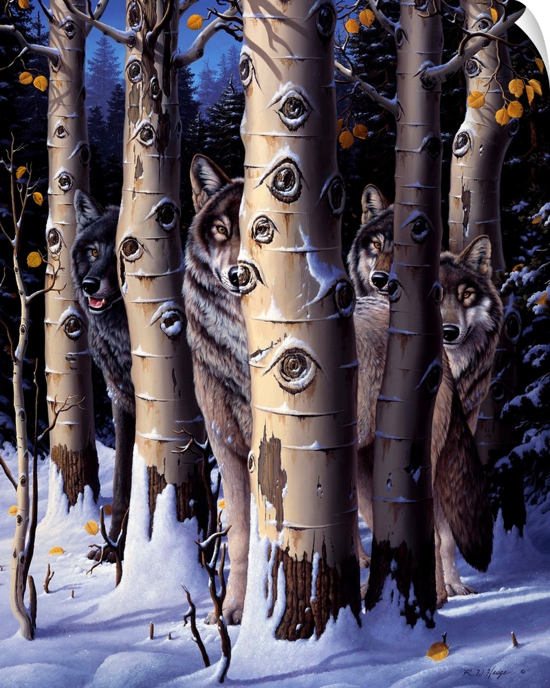 A pack of wolves in winter trees