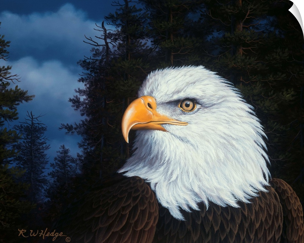 An eagle in profile.
