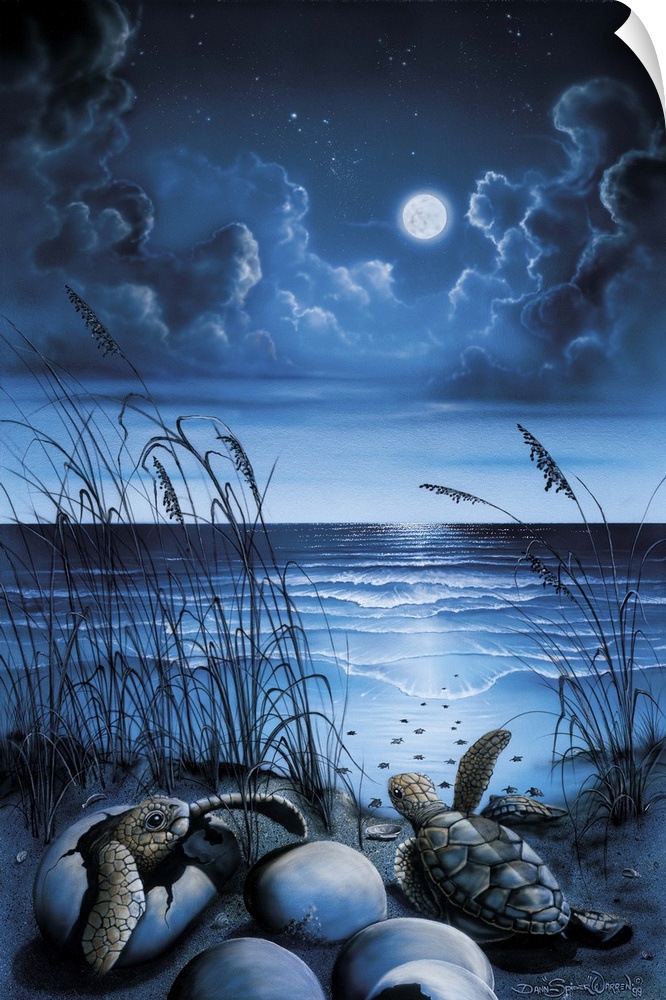 Night over the ocean with turtles hatching.