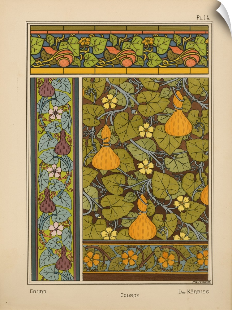 La Plante et ses applications ornementales, Eugene Grasset, Plate 14 - Courd