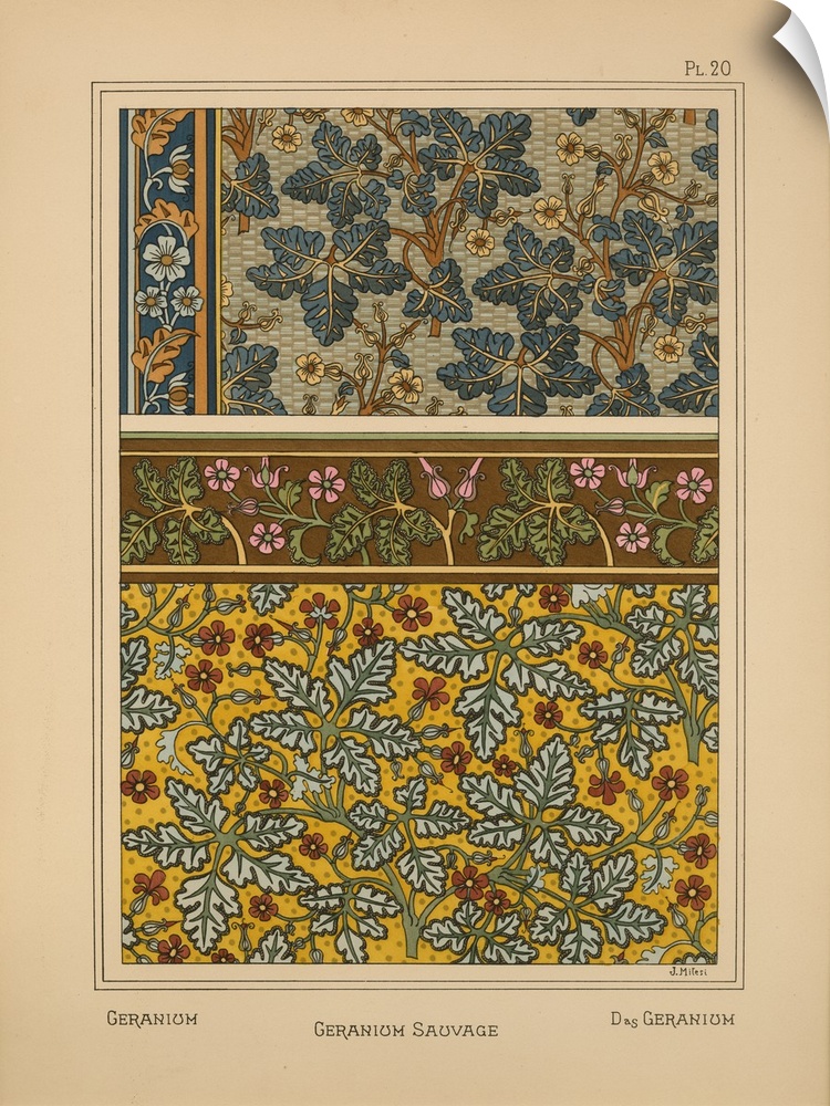 La Plante et ses applications ornementales, Eugene Grasset, Plate 20 - Geranium