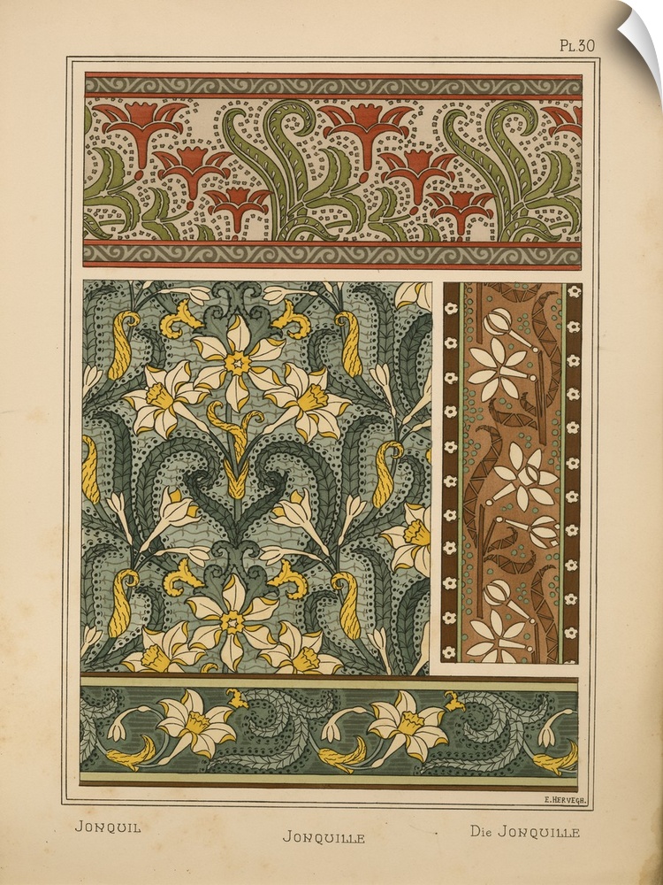 La Plante et ses applications ornementales, Eugene Grasset, Plate 30 - Jonquil