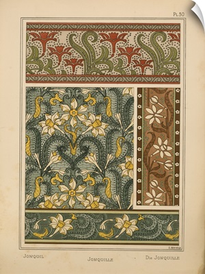 The Plant and its Ornamental Applications, Plate 30 - Daffodil