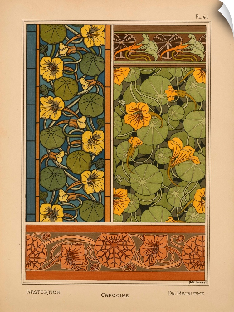 La Plante et ses applications ornementales, Eugene Grasset, Plate 41 - Nastortium