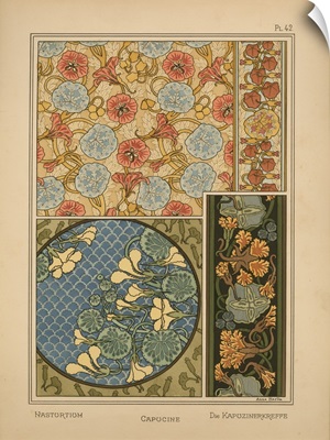 The Plant and its Ornamental Applications, Plate 42 - Nasturtium