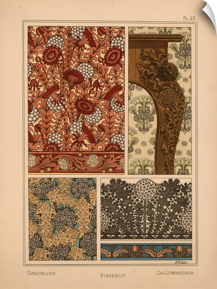 La Plante et ses applications ornementales, Eugene Grasset, Plate 45 - Dandelion