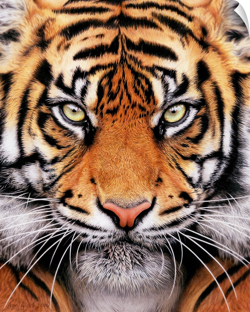 Contemporary painting of a ferocious looking tiger face.
