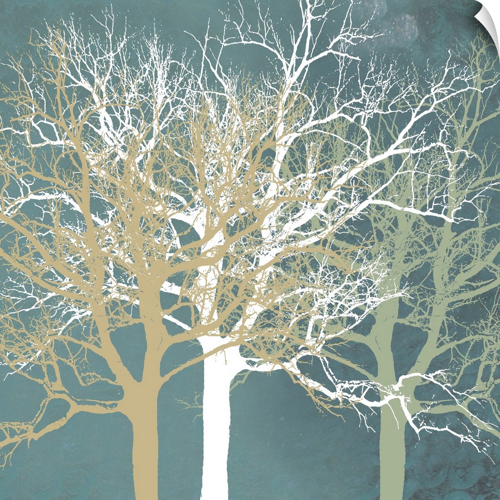Flat silhouettes of three different colored trees are imposed over a textured, contrasting background.
