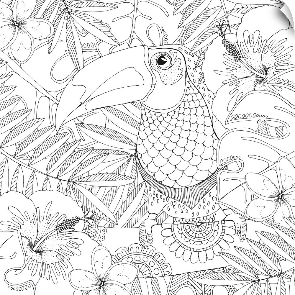 Black and white lined design of a tropical Toucan perched on a branch surrounded by topical flowers and leaves.