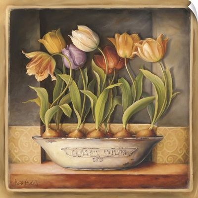 Tulip Classic Bulb