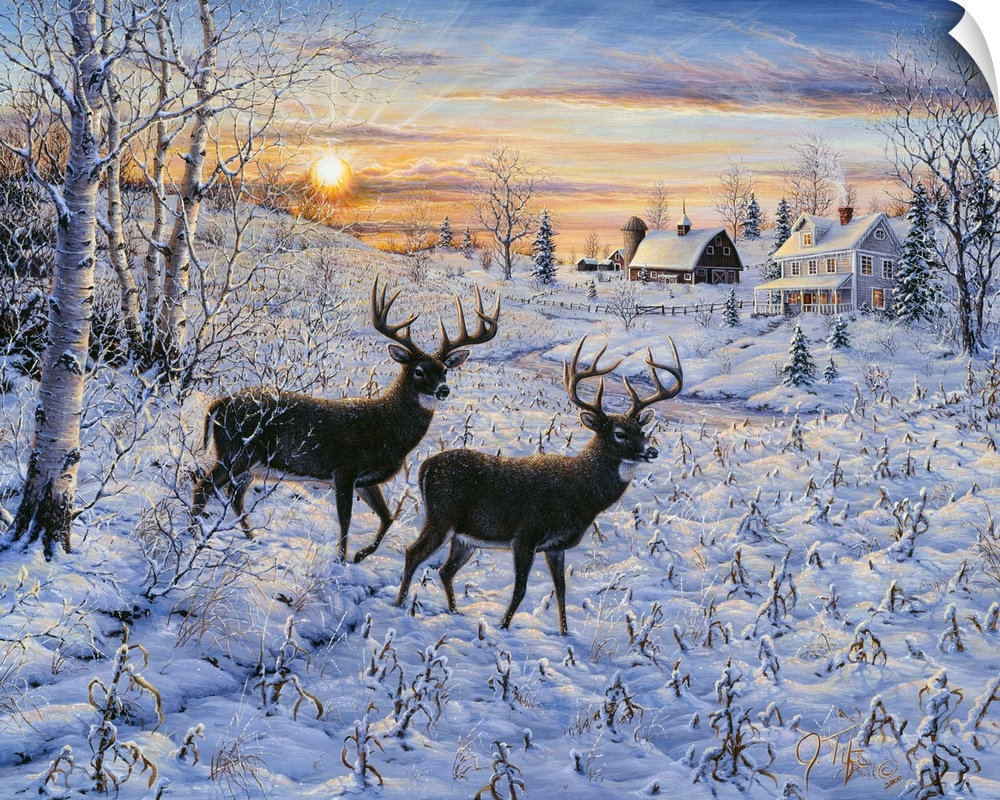 two deer (buck) standing in a snow covered meadow with a house and barn in the background, a full moon in the sky