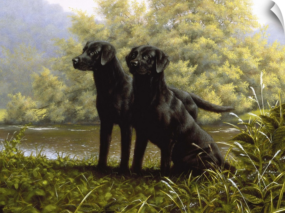 Contemporary painting of two black labs beside a stream.