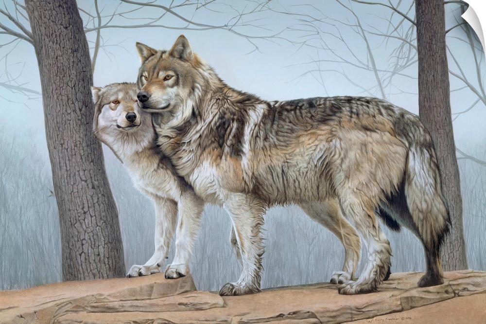 Two wolves standing next to each other on a ledge with a tree in front and in back of them.