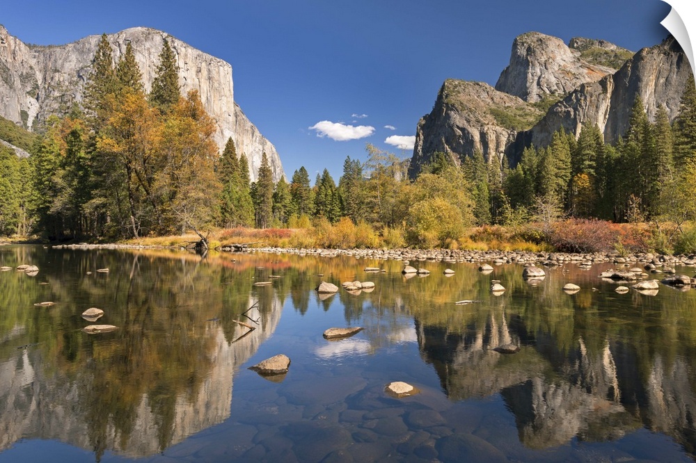 El Capitan and Bridalveil Falls in Yosemite reflected in the clear water of the River Merced.