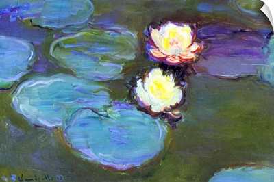 Water Lily, detail