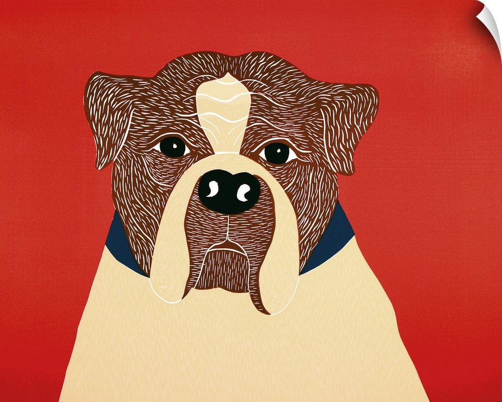 Illustrated portrait of a boxer on a red background.