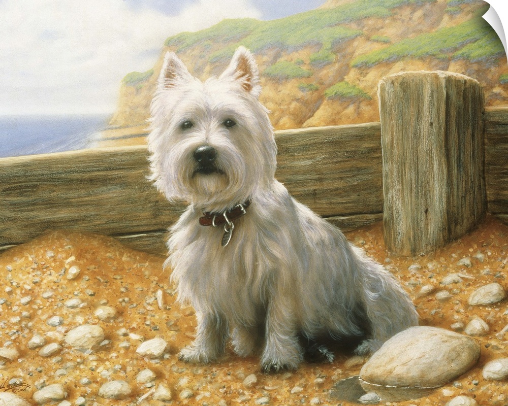Contemporary painting of a westie.
