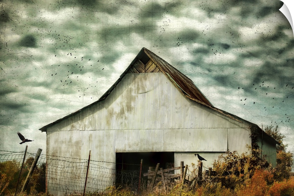 Fine art photo of a barn under stormy skies with crows flying by.