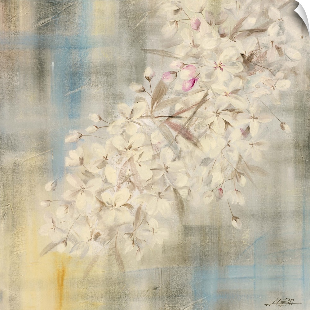 White Cherry Blossom II