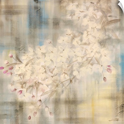 White Cherry Blossom IV