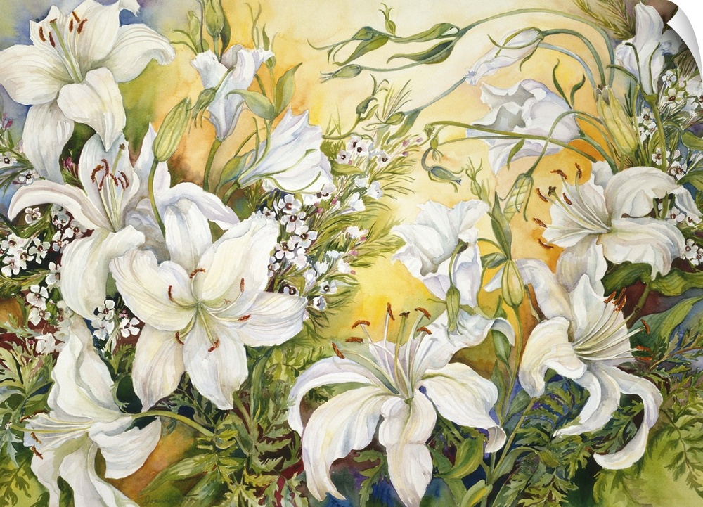 Colorful contemporary painting of white lilies.