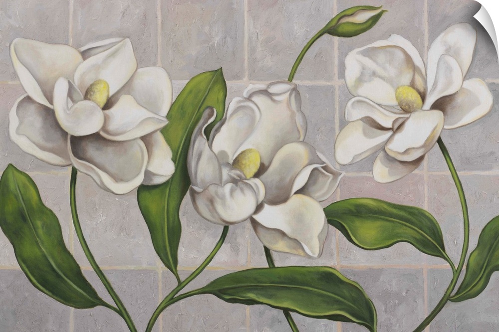 white magnolias