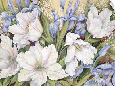 White Tulips and Blue Iris