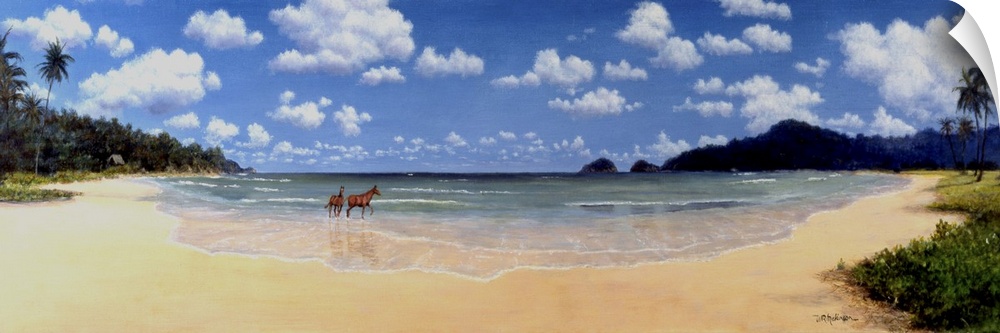 Horses in surf on tropical beach.