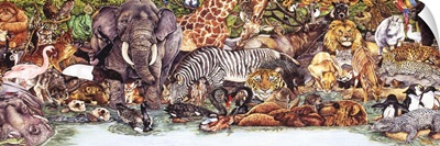 Wild Animal Collage