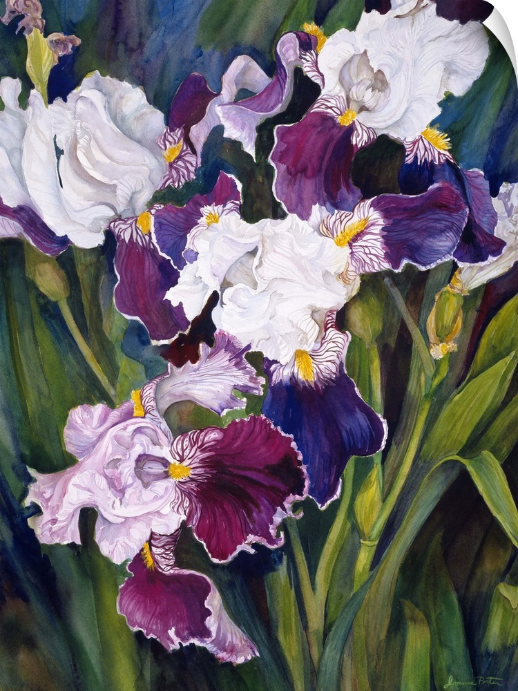 Colorful contemporary painting of purple iris'.