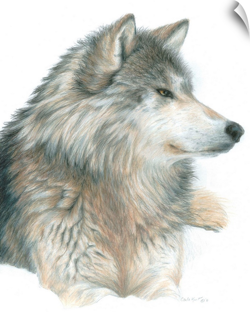 Contemporary artwork of a gray wolf against a white background.