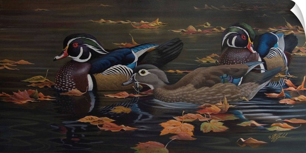 Ducks in water with leaves.