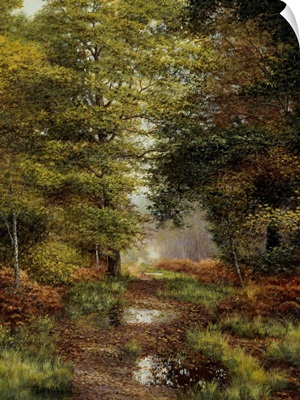 Woodland In The Fall