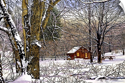Woodland Winter