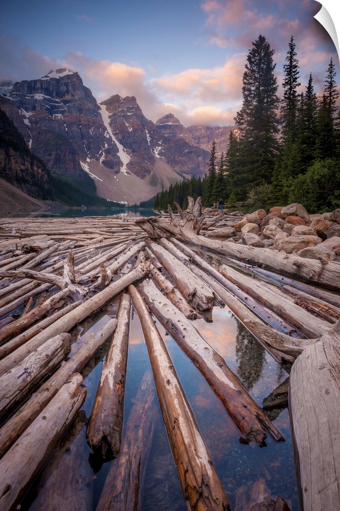 Landscape photograph with logs piled up in a river with snowy mountains in the background.
