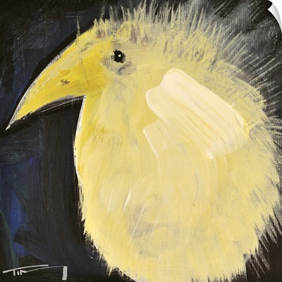 Yellow Fuzzy Bird
