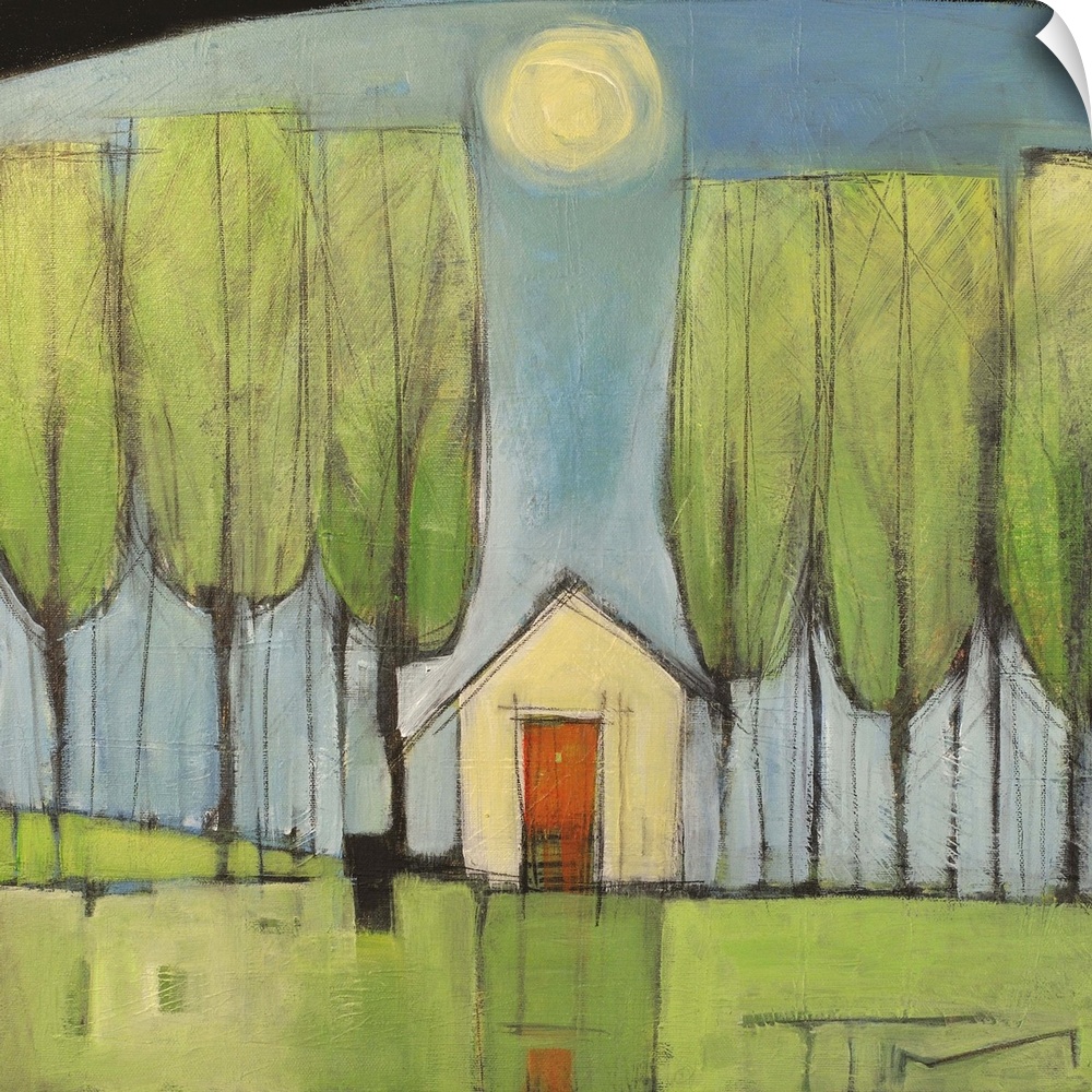 Yellow House In Woods