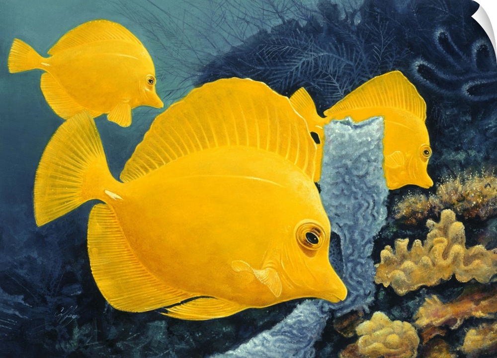 Contemporary painting of tropical fish swimming together.