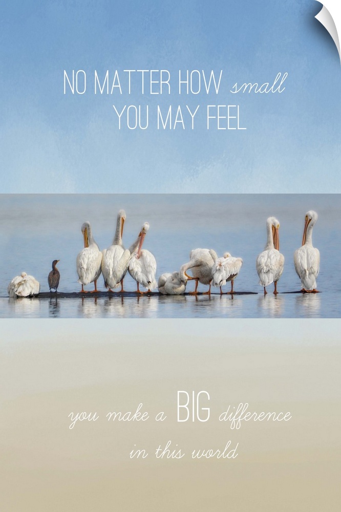 A line of white pelicans on the beach with the text "No matter how small you may feel, you make a big difference in this w...