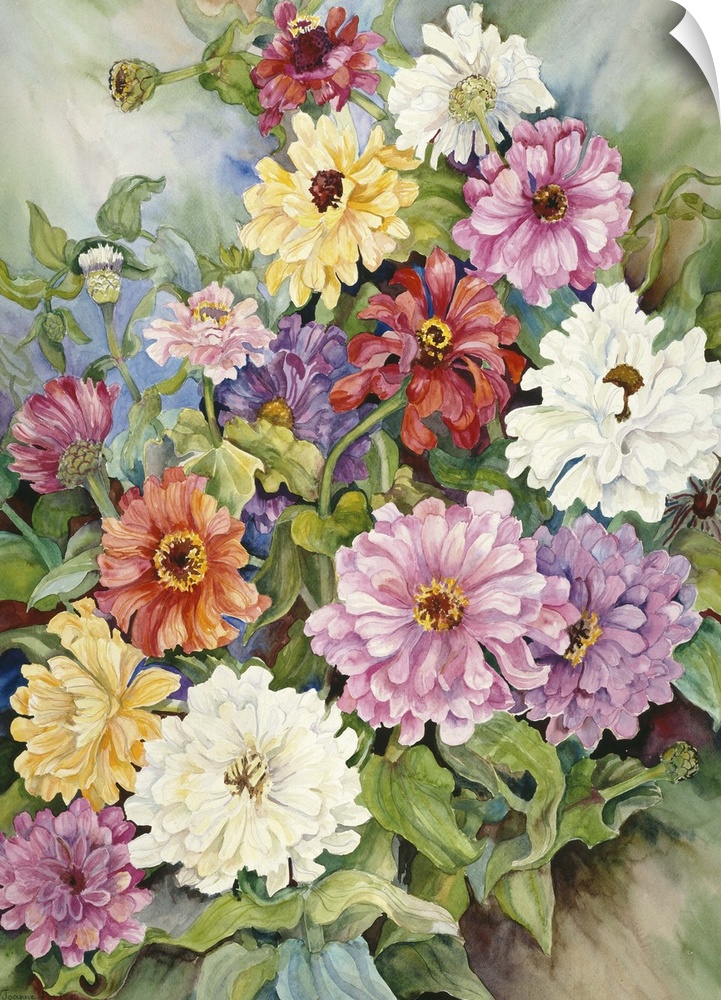 Colorful contemporary painting of multi-colored zinnias.
