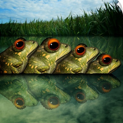 Army Of Frogs