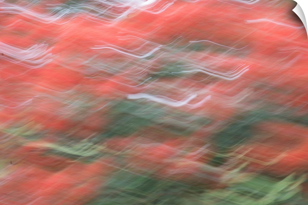 Impressionist photograph that capture the color of Christmas.