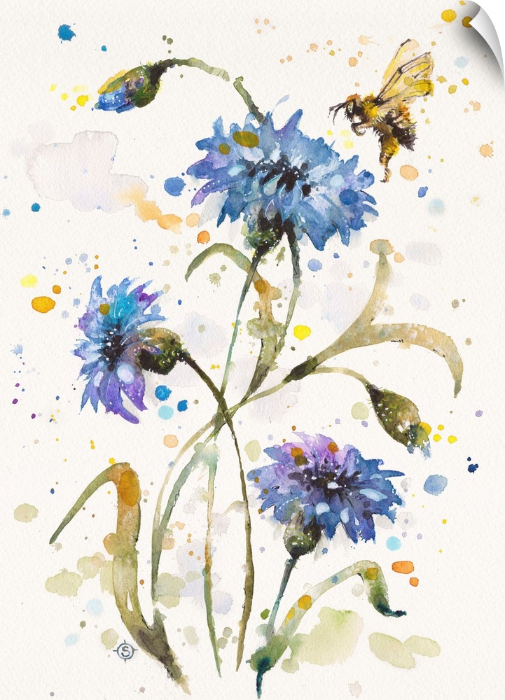 Cornflower and Bumblebee Dance