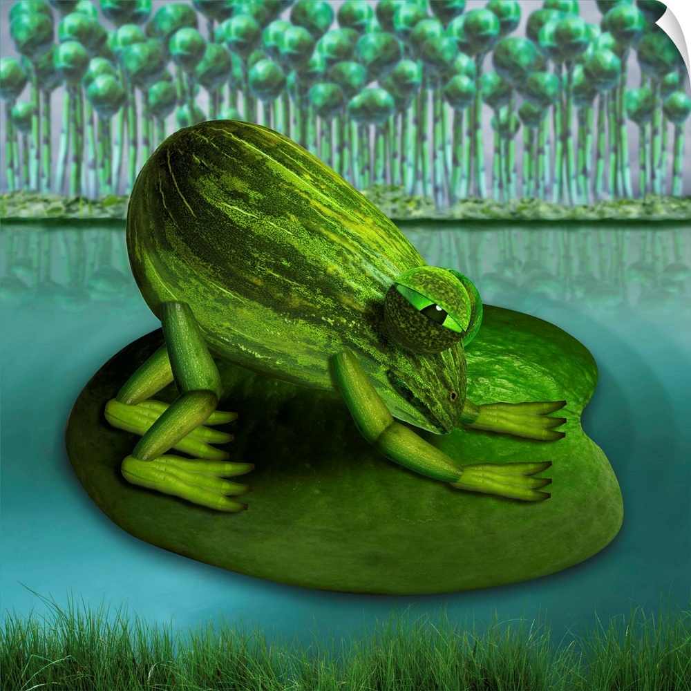 For all yoga fans who relate to downward dog, here is downward frog, on a water lily.