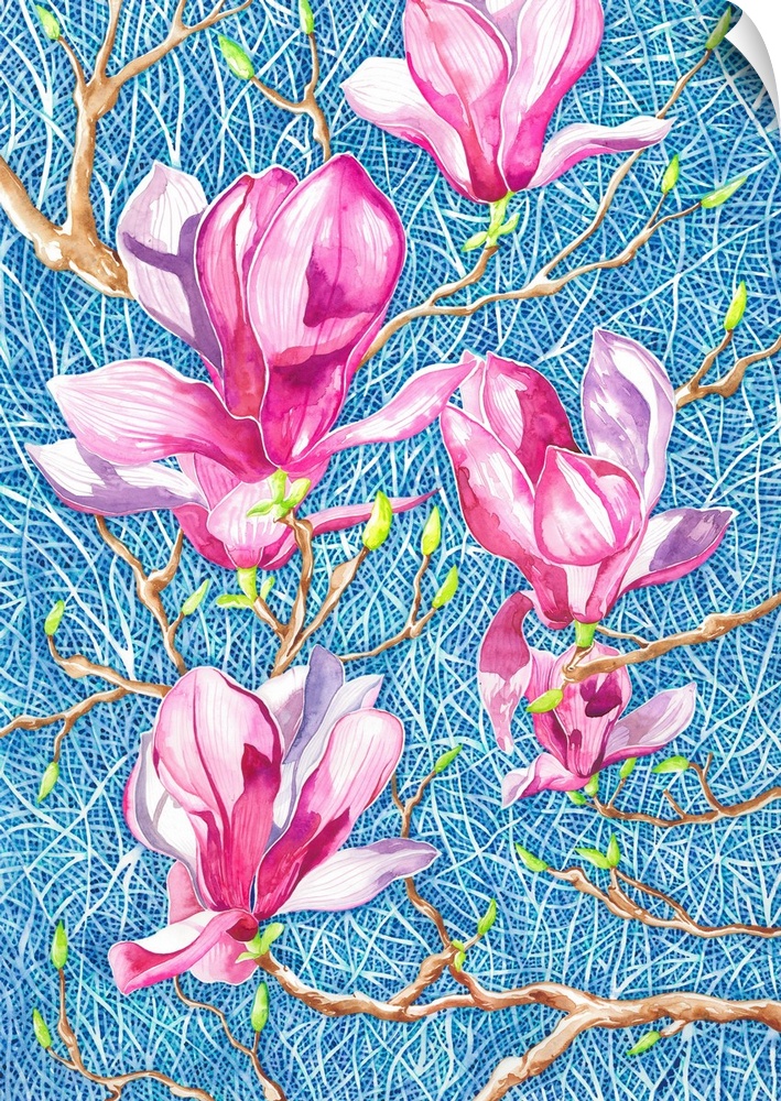Beautiful pink magnolia flowers blooming in the clear blue sky, tried to capture the dreamy pink color in the watercolor o...