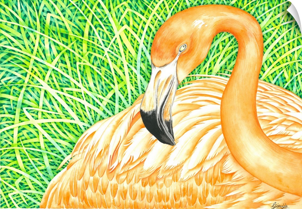 Orange flamingo bird is resting on the grass, tried to capture the summer colors in watercolor on paper.