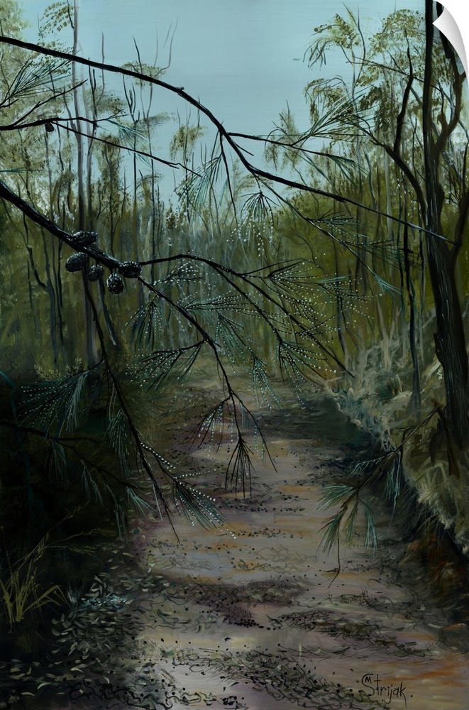 Painting of the walking tracks with magnificent natural beauty, enhanced by a diamond spree of the drops from the rain.