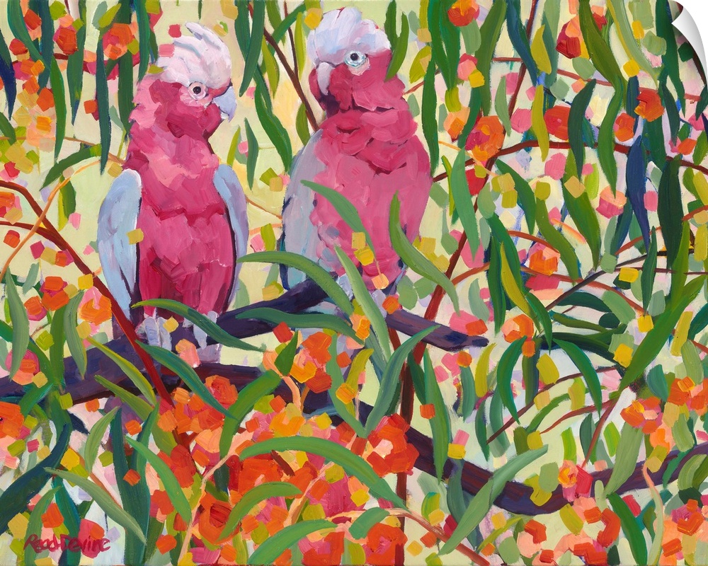 Impressionist painting of two pink and grey cockatoos sitting in a eucalyptus tree with orange flowers.